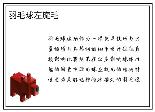 羽毛球左旋毛