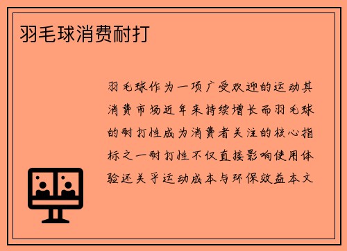 羽毛球消费耐打