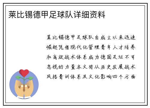 莱比锡德甲足球队详细资料